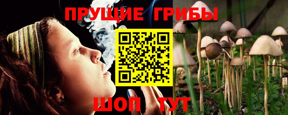 Ирбит  Псилоцибиновые грибы MAGIC MUSHROOMS  купить наркотики сайты  Вход с VPN 